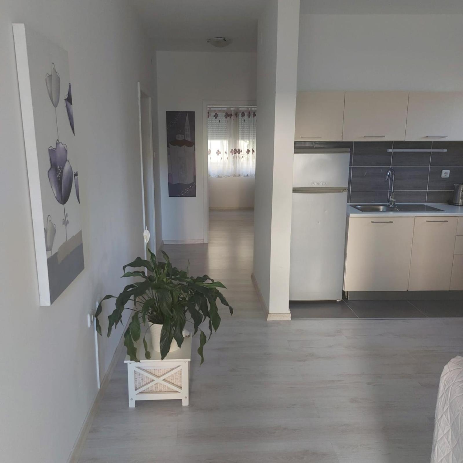 זאדאר Martina Sun Apartment מראה חיצוני תמונה